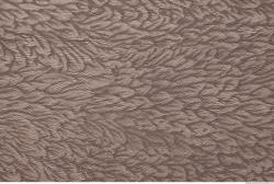 Photo Textures of Wallpapers